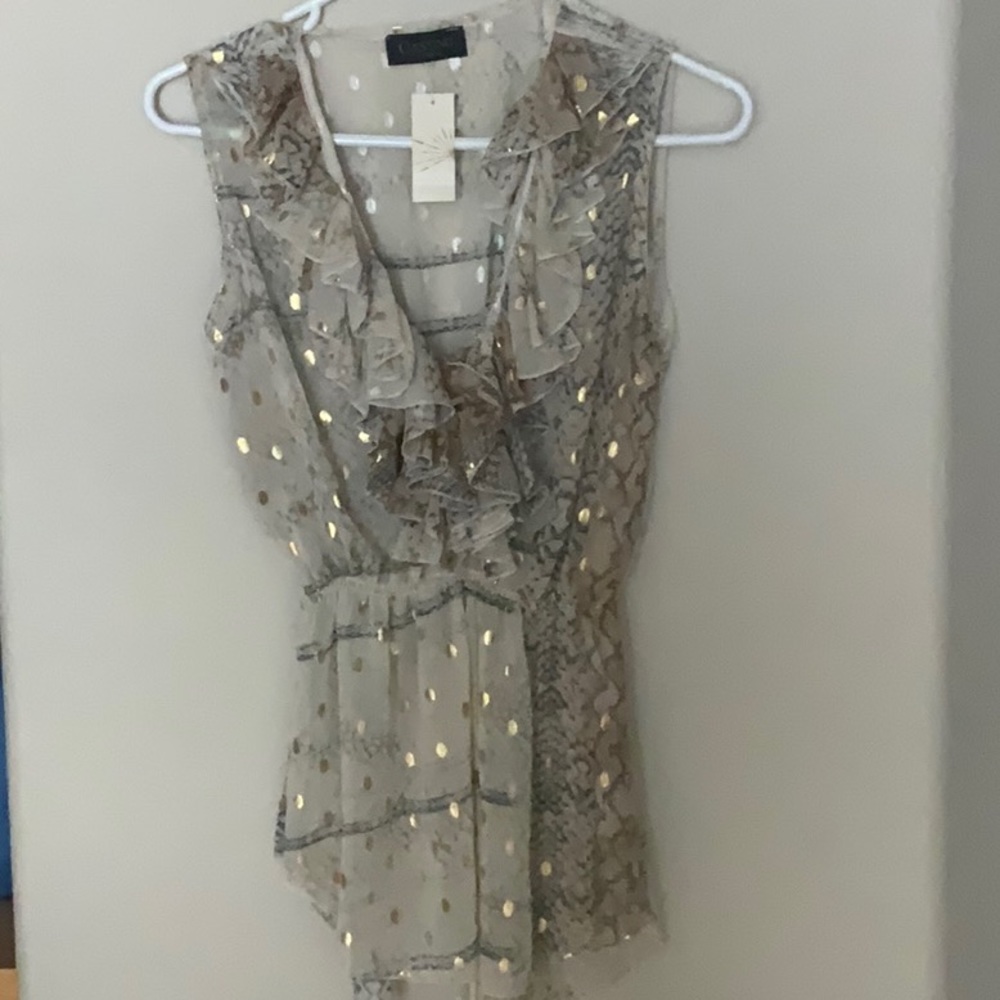Gorgeous Shimmer top
